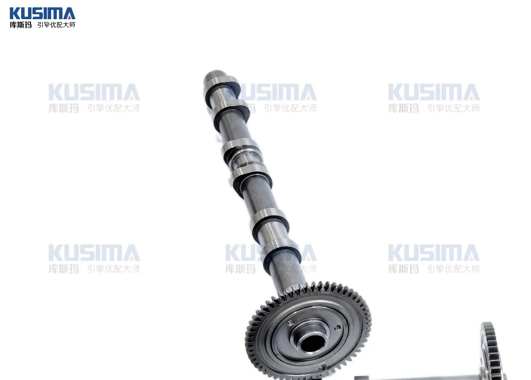 

HOT Wholesale Engine Camshaft for Mercedes-Benz OM642 Exhaust Camshaft Gears Intake Camshaft Cam Shaft A6420503501 A6420504601