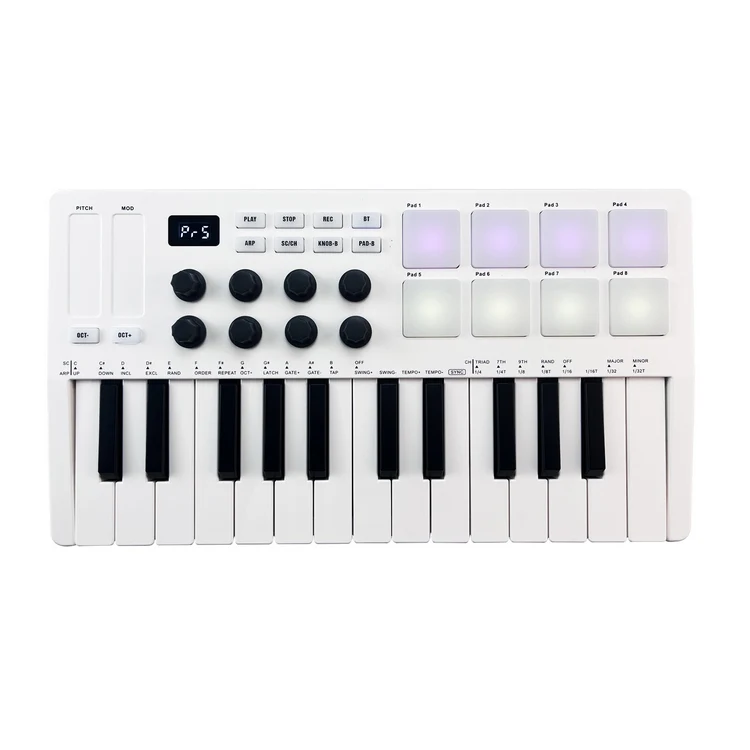 25-Key MIDI Control Keyboard Mini Portable USB Keyboard MIDI Controller with 25 Velocity Sensitive Keys