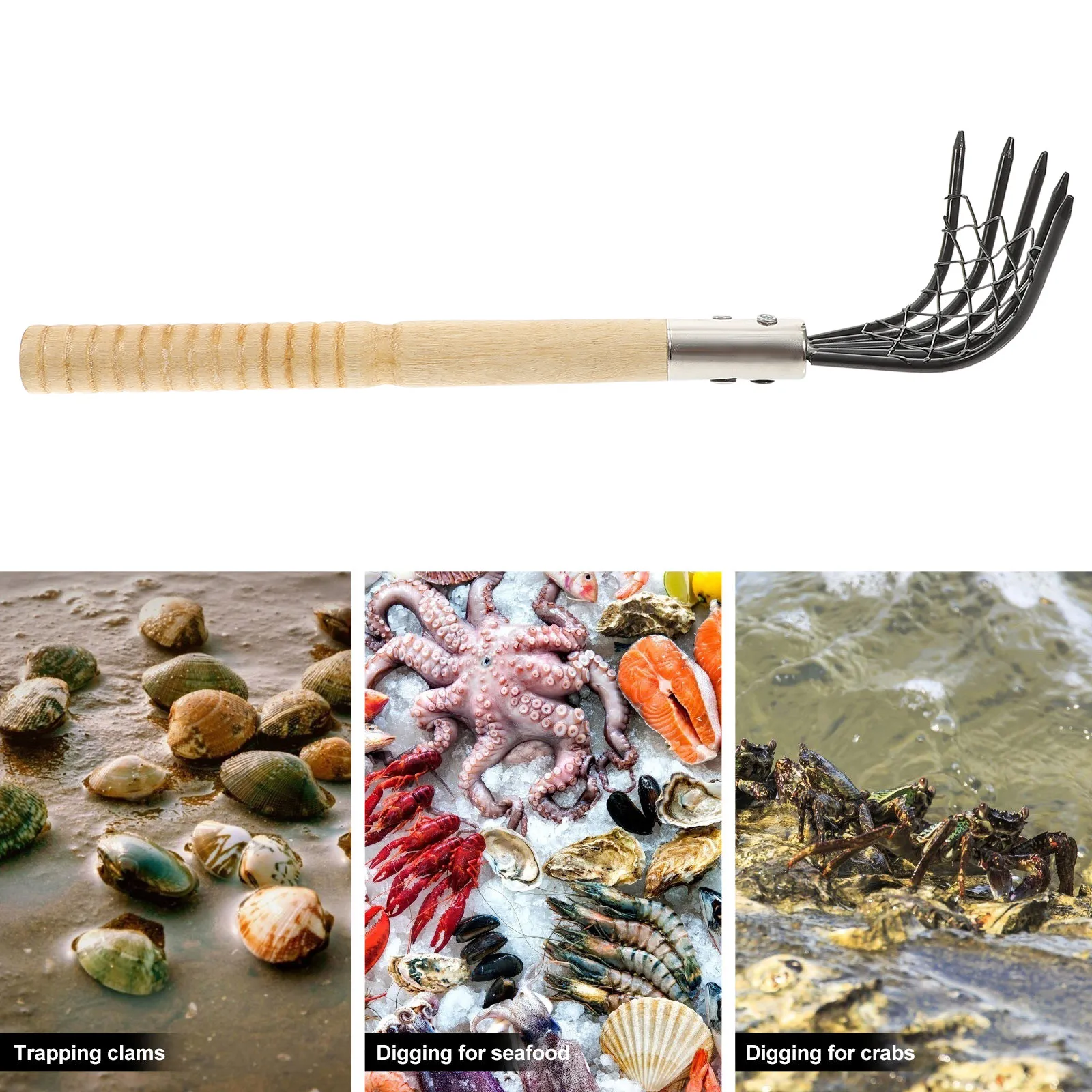 

1Pcs Net Rake with Wooden Handle Stainless Steel Beach Digger for Clams Oysters Seafood Harvesting Tool Compact