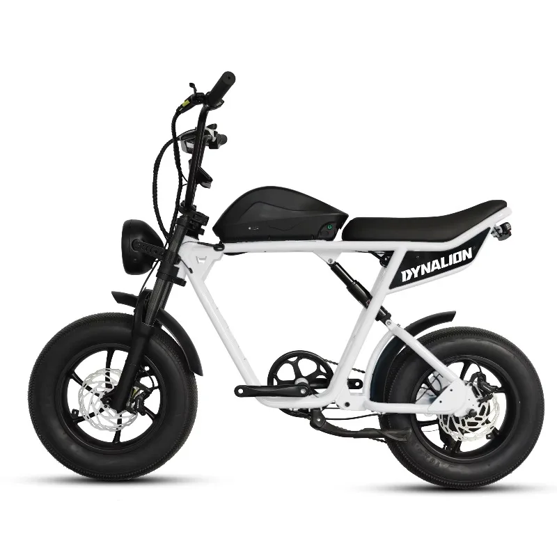

20 inch fat tires adult mountain electric bike 350 watts 500 watts 1000 watts electric bike