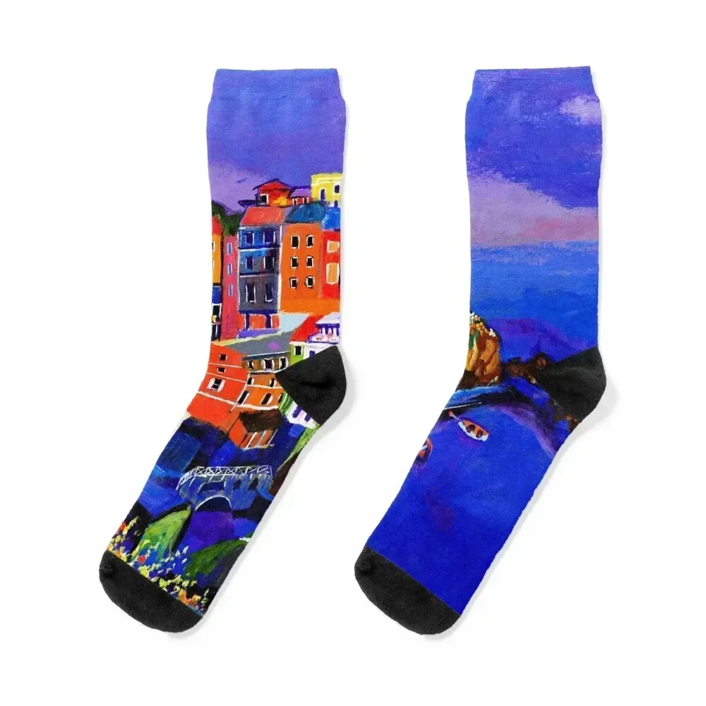 Manarola Cinque Terre Socks Antiskid soccer happy Designer Man Socks Women's