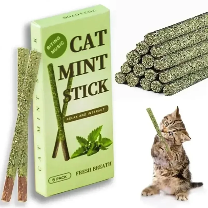 6 bâtonnets naturels de Matatabi pour chat, à la menthe, pour le nettoyage des dents et la stimulation des gencives, en Silvervine, jouets pour chat, fournitures pour animaux de compagnie