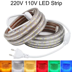 Bande lumineuse LED étanche avec prise, ruban LED flexible, extérieur, blanc chaud, bleu, vert, rouge, 220V, 110V, SMD 5050, 60LED par m