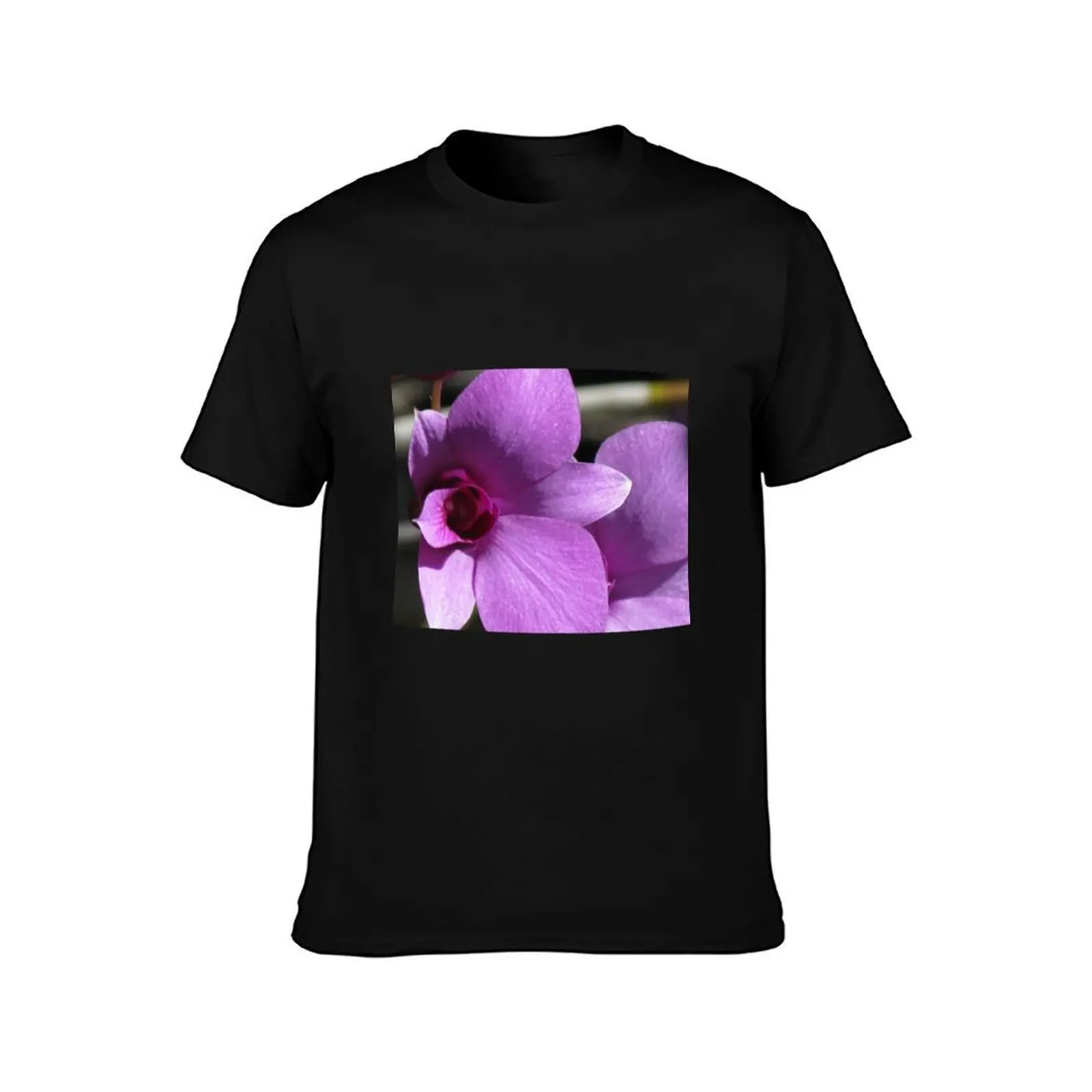 Cooktown Orchid (Dendrobium bigibbum) T-Shirt Breathable Basic Cotton T-Shirt