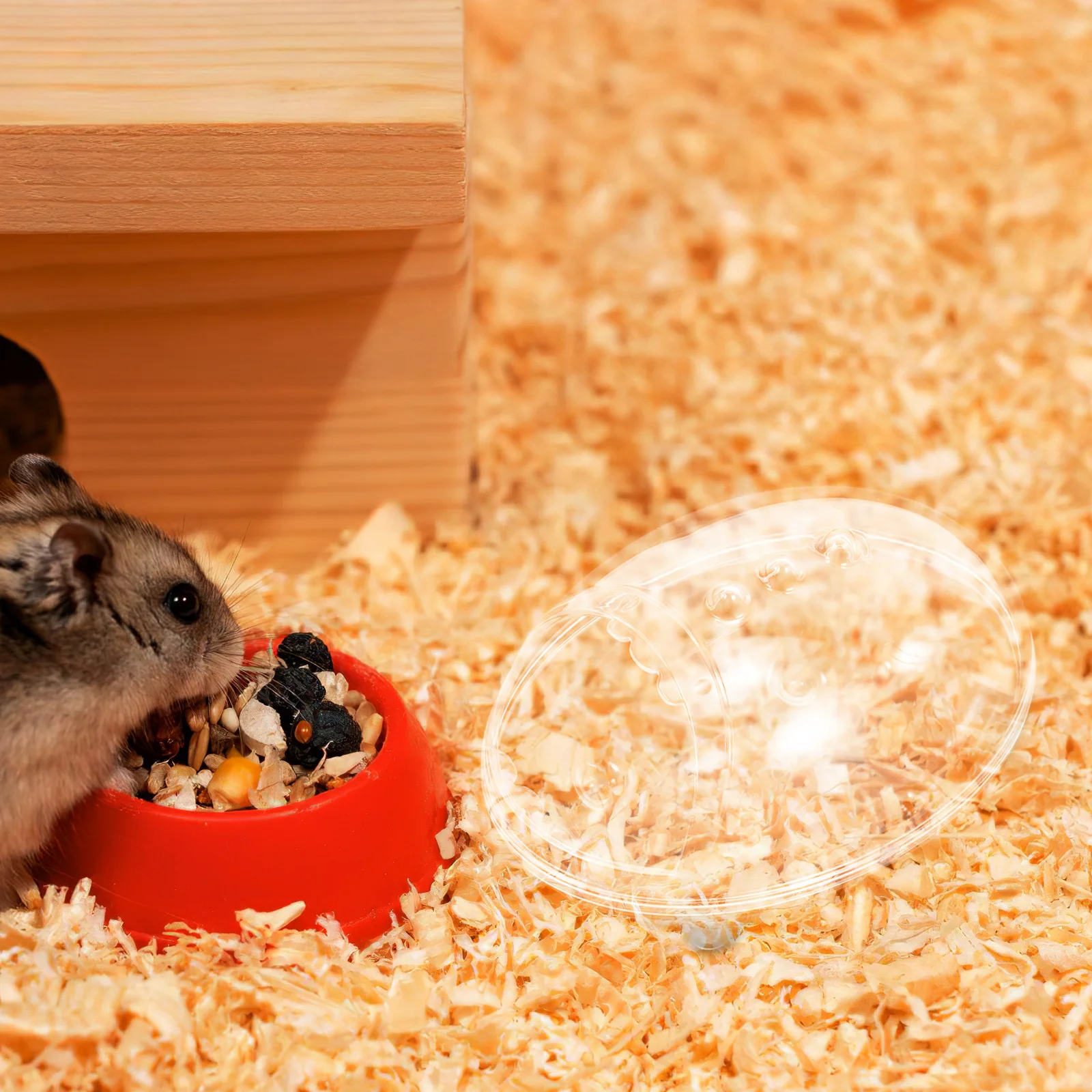 

Hamster Bathing Box Transparent Sand Bath and Toilet Container Multi-Use Pet Habitat Accessory for Small Animals Easy to Clean