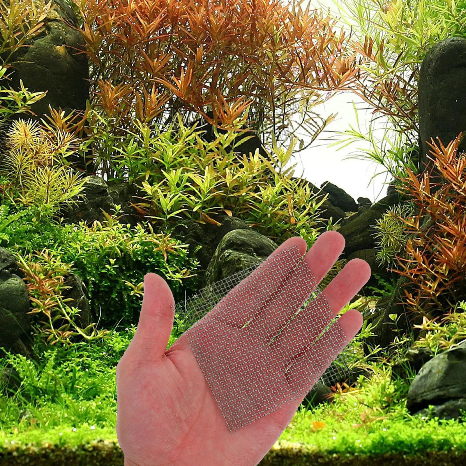6 قطع من شبكة زراعة النباتات ا - مراجعة Planted Aquarium Carpet Plant وسعره