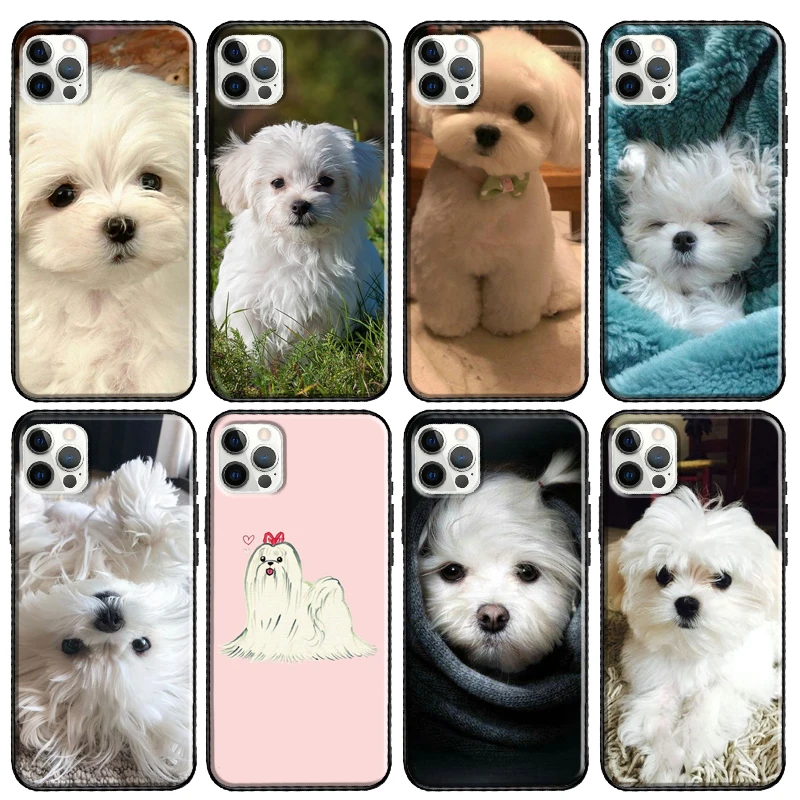 Maltese Dog Puppy Cute Phone Case For Apple iPhone 13 12 11 Pro Max mini X XR XS Max 7 8 Plus SE 2020 Cover Coque