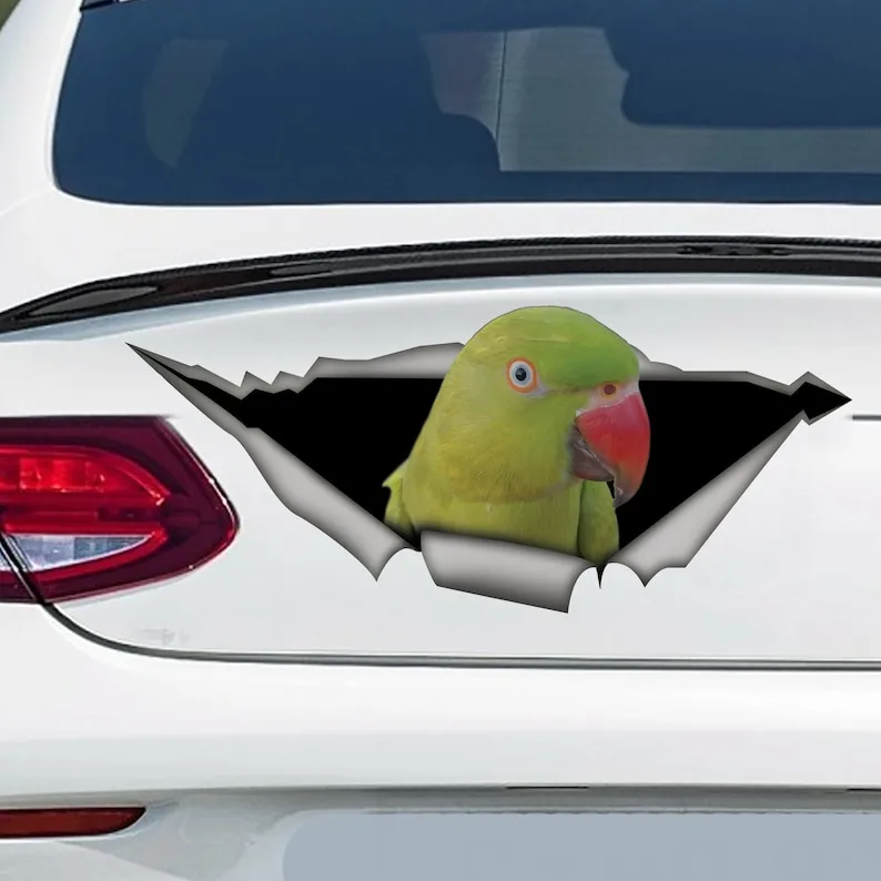 Indian Ringneck car decal, indian Ringneck magnet, Indian Ringneck sticker, parrot decal