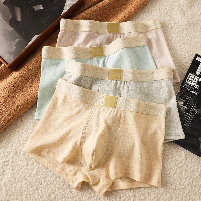 

Мужские хлопковые трусы-боксеры из 3 комплектов, дышащее молодежное спортивное нижнее белье, модные удобные мужские боксеры