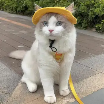 6 best sales 黃色的狗耳朵 - №5