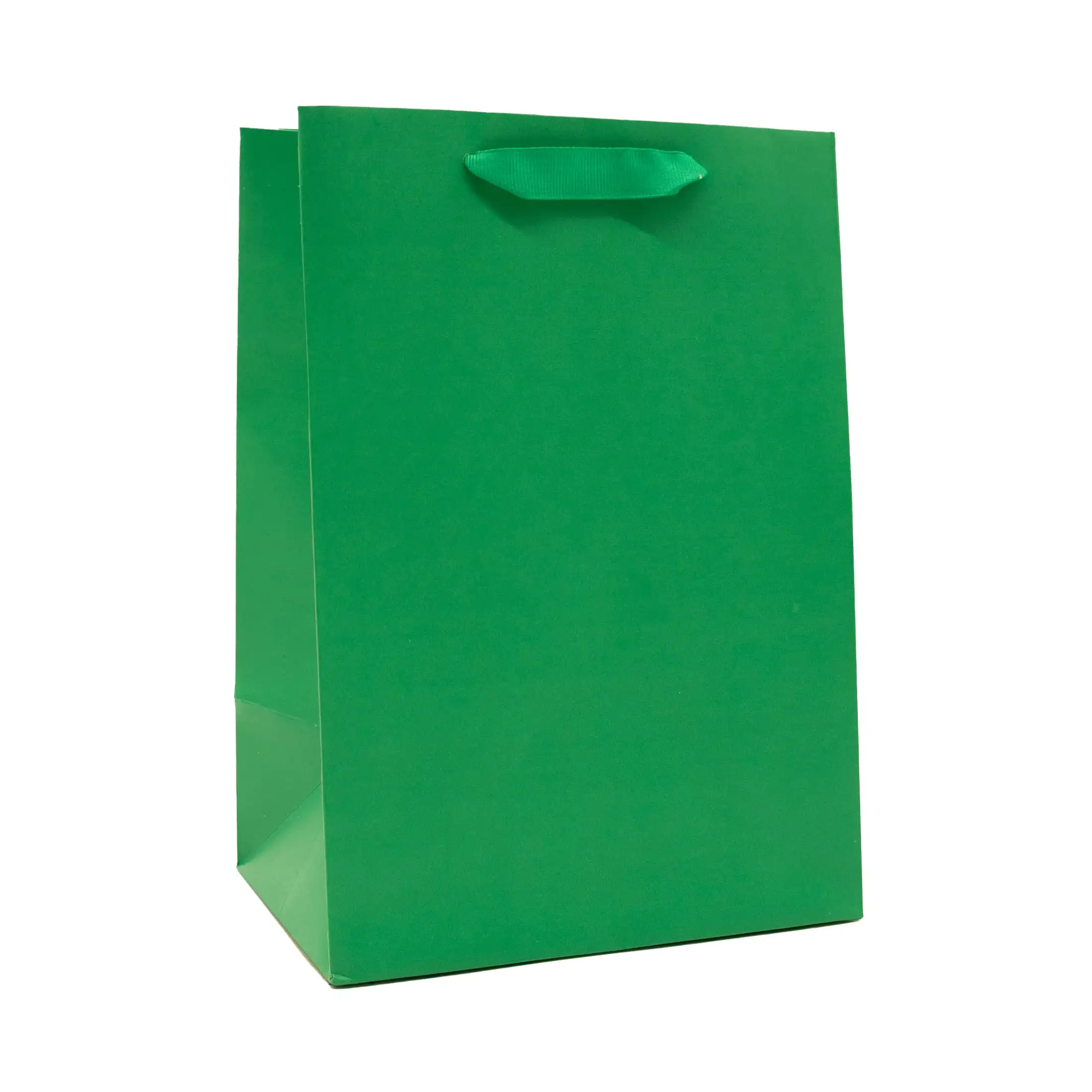 

Large Green Gift Bags, 7" x 10", 3 Count
