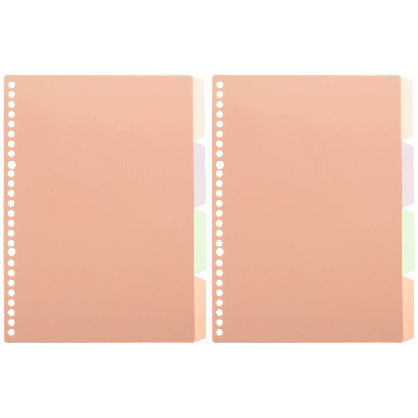 

10 Pcs Dividing Page Tags Binder Dividers Bulk The Notebook Tab with Tabs Index File