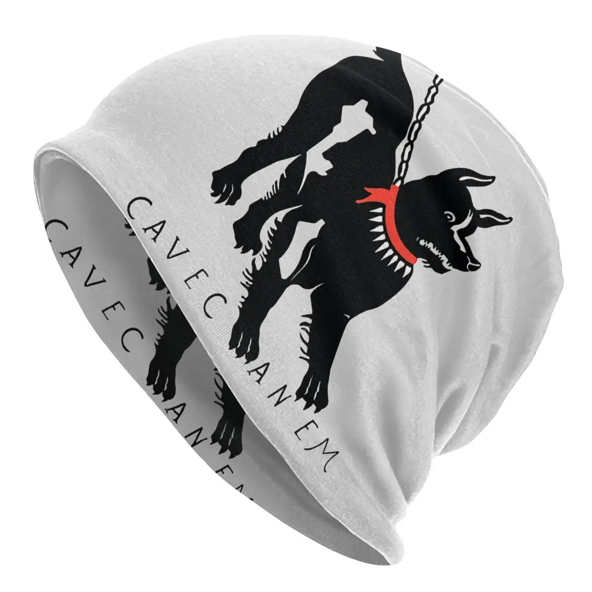 Cave Canem Beware Of Dog Unisex Bonnet Thin Running Hats Skullies Hat Breathable Caps