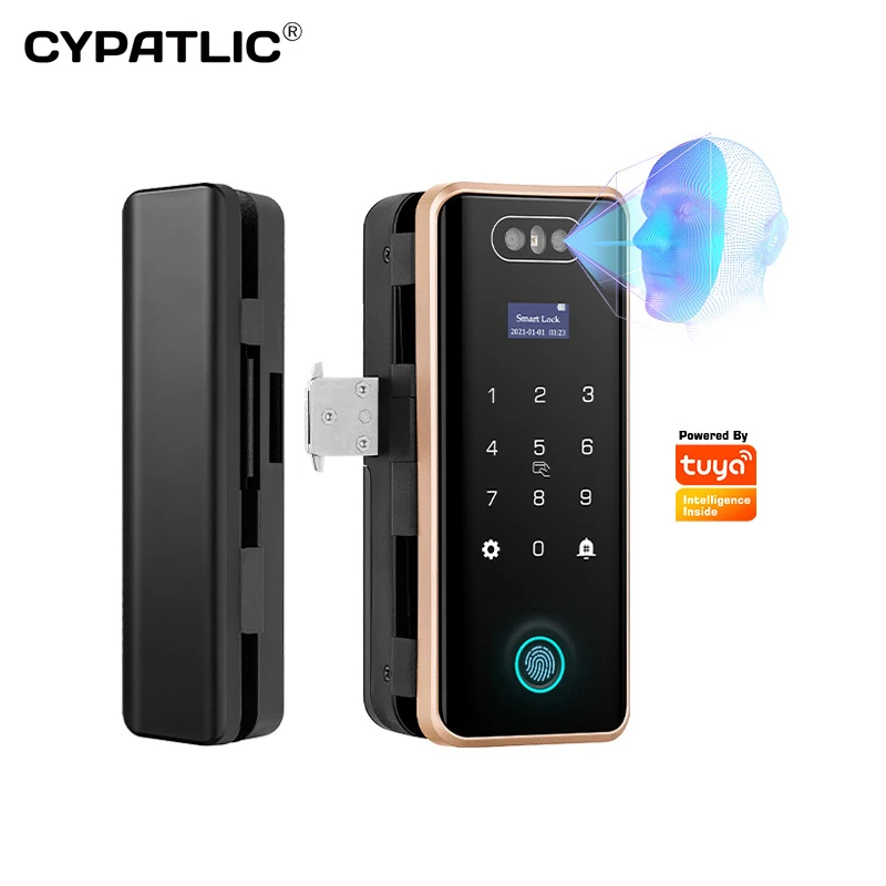 

Anti-theft 3D Face ID Intelligent Sliding Glass Door Lock Tuya Smart Home APP Face Recognition Door Lock