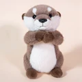 nutria