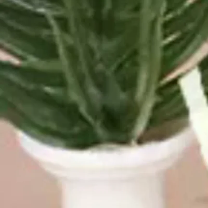 

1 шт. кукольный домик, мини-пластиковая имитация вазы, зеленое растение, миниатюрная модель, мини-цветочная композиция, игрушечные украшения