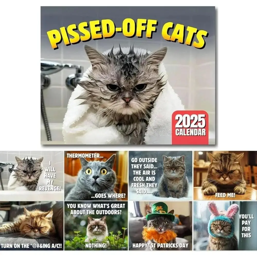 Kawaii 2025 Pissed-Off-Katzen-Kalender, niedlicher Katzenliebhaber-Wandkalender, kreativ, kann mit Bürobedarf feiern