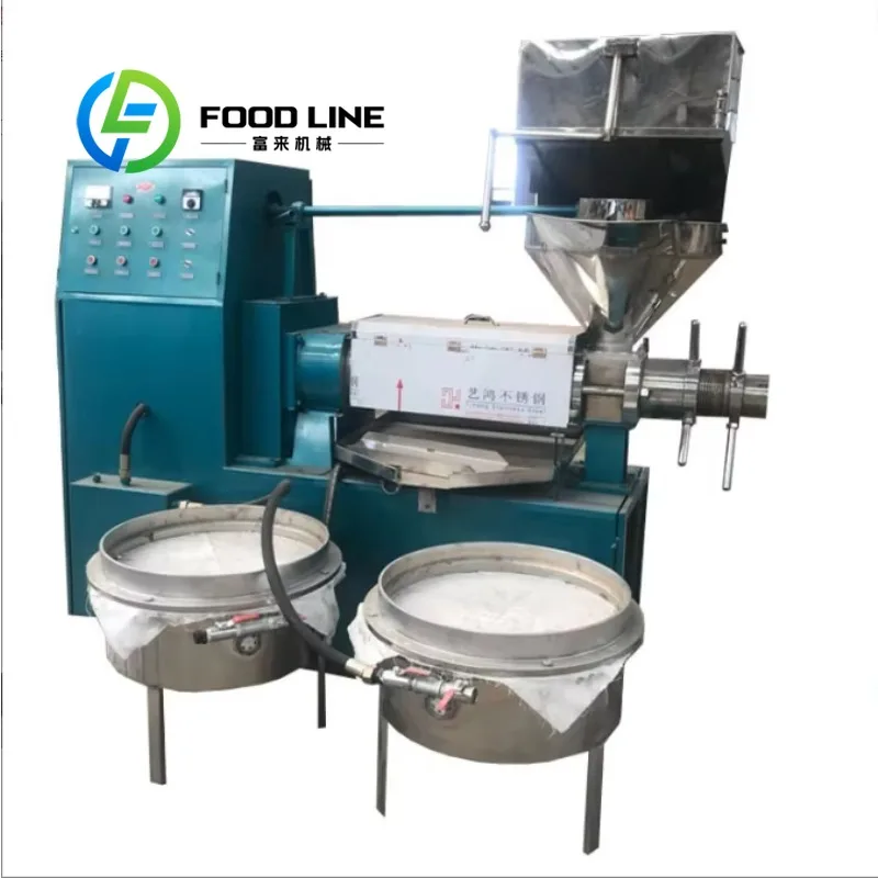 Customized Cold Hot Press Palm Kernel Fruit Oil Extraction Decanter Screw Press Machine for Small Business