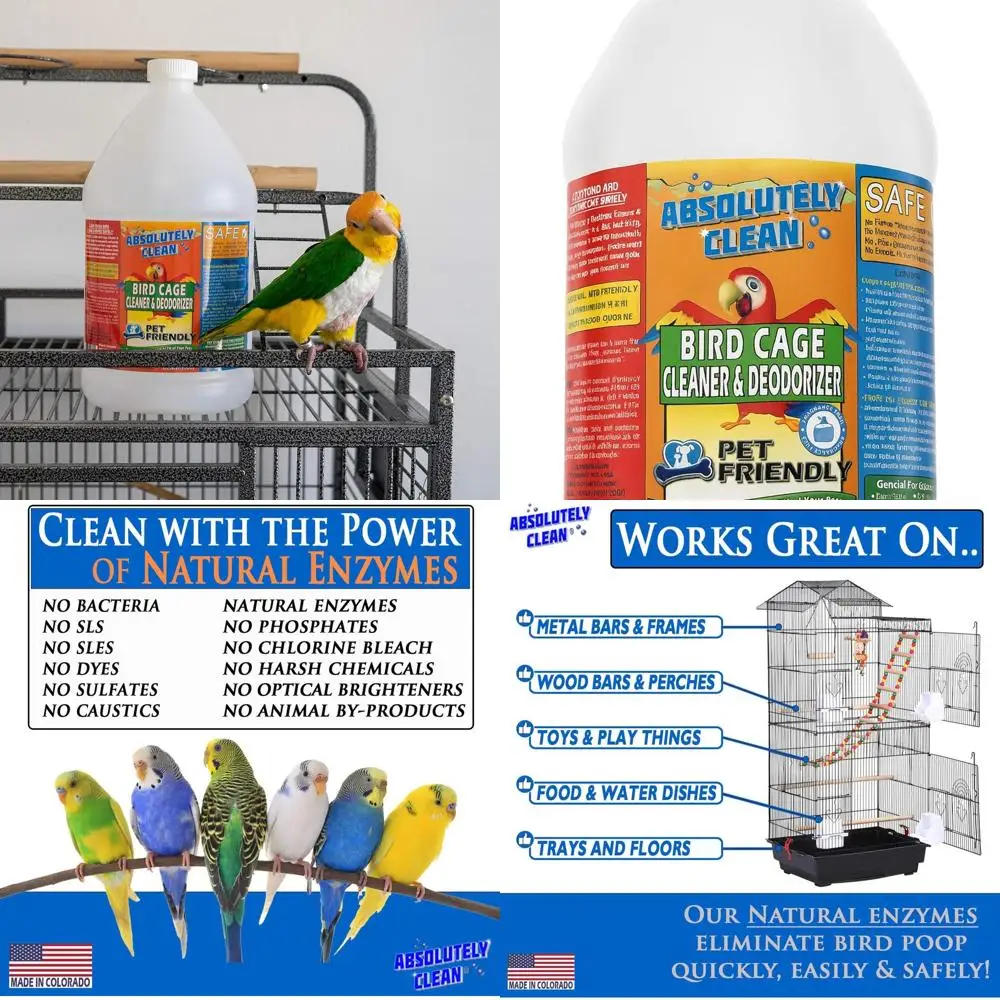 Amazing Bird Cage C… - image