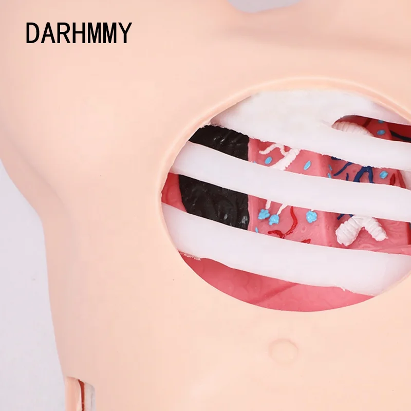 Simulator Drainase Pleura DARHMMY, Model Drainase Temperamentesis, Model Keperawatan Drainase Dada