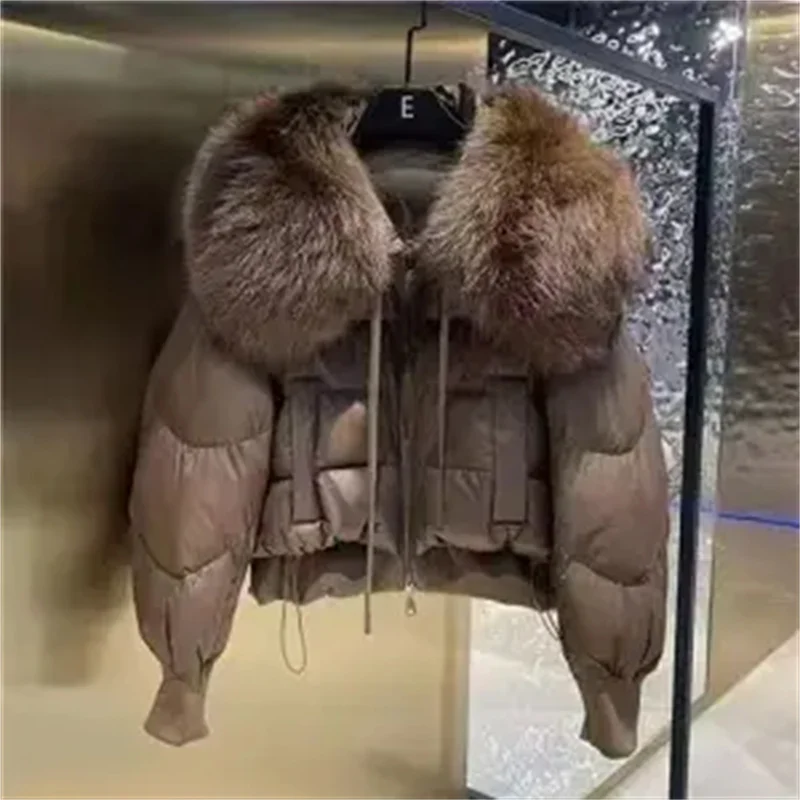 Short Down Cotton-padded Jacket Big Fur Collar Loose High-grade Young Middle-Aged Lady Korean Warm Cotton-padded Jacket Woman