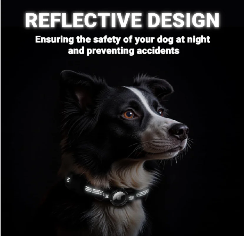 AirTag Dog Collar, IP68 Waterproof Integrated Air Tag Dog Collars with Reflective, Ultra-Durable, Comfortable Padded view 3