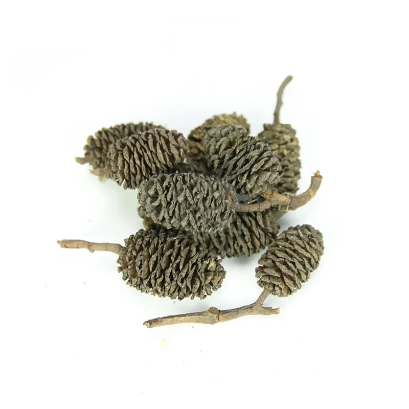 20pcs/lot Alder Cones Anti-Bacterial PH Minus Water Treatment Fish Shrimp Tank Aquarium