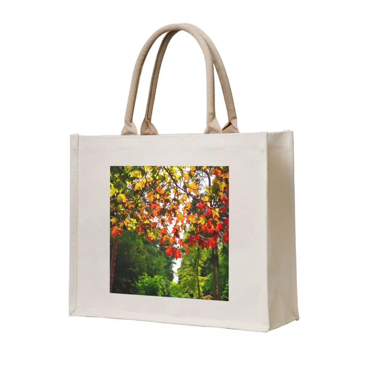 

Autumn Acer Tree Westonbirt Arboretum Cotswolds Gloucestershire Tote Bag tote bag canvas shopper bags for women tote bag custom