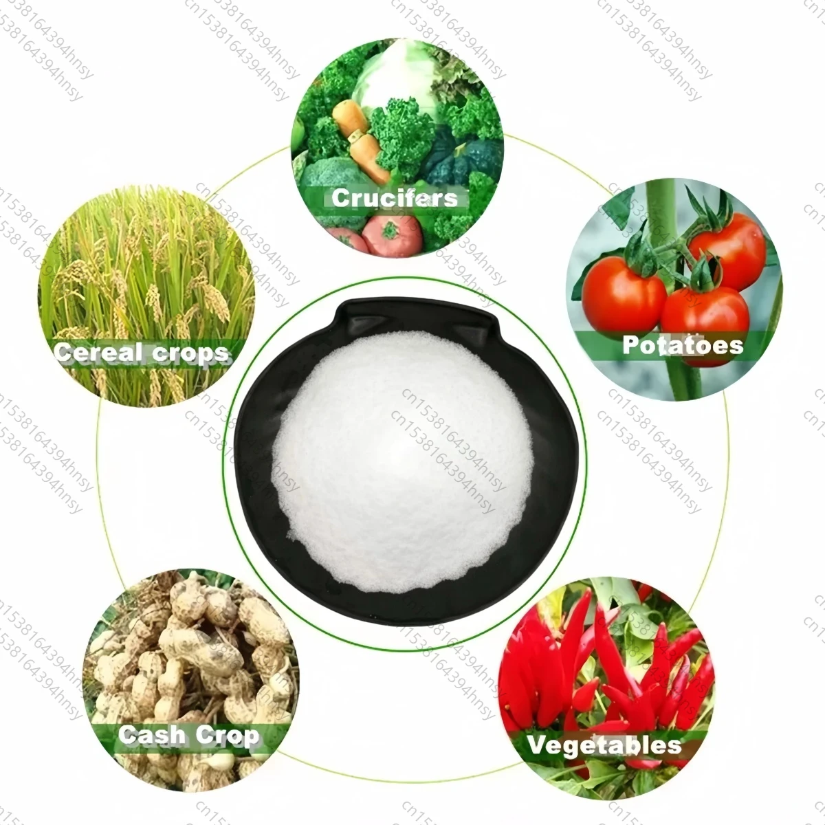 LOLO 6-Benzylaminopurina BA con prezzo basso Spedizione gratuita
