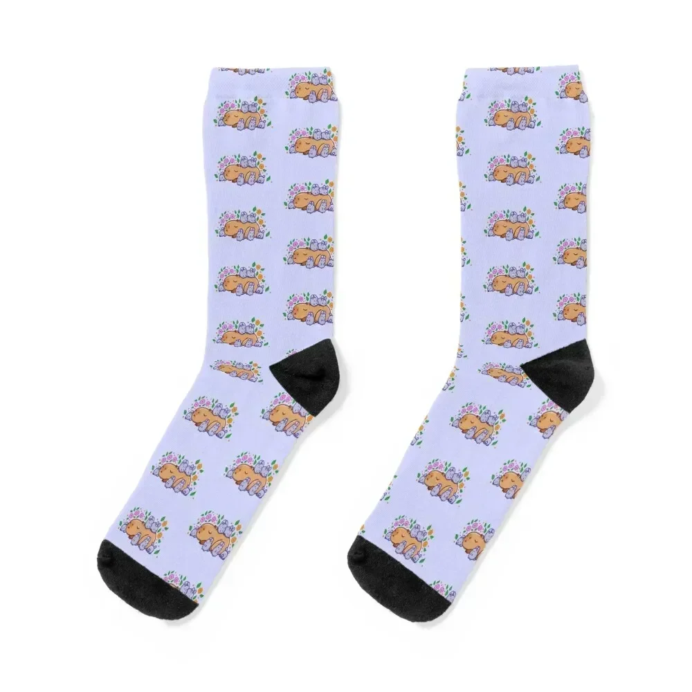 Capybara with bunnies Socks compression cute christmass gift crazy Socks Women Men's