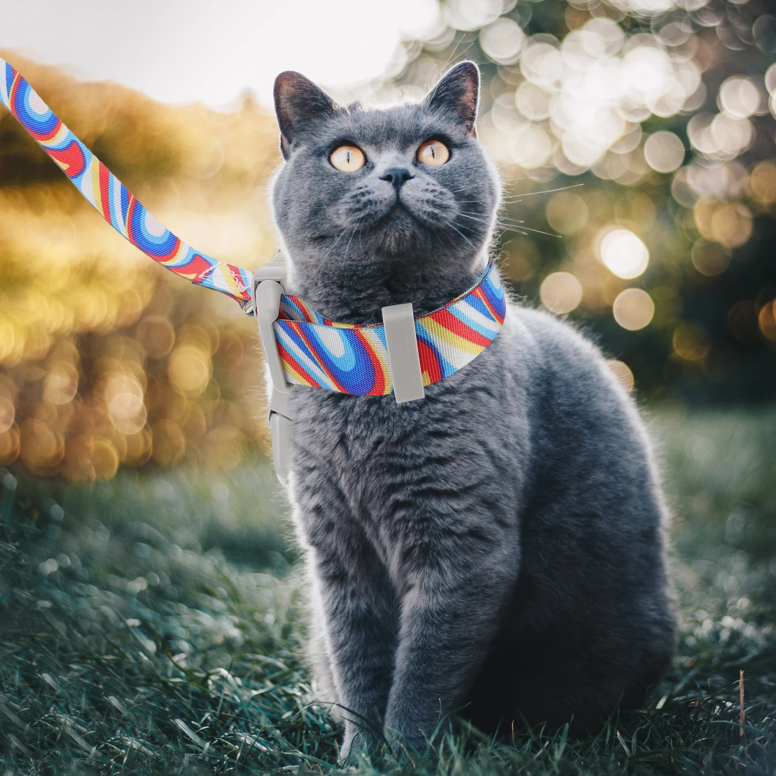 

Nylon Cat Dog Leash Adjustable Kitten Harness Walking Rope Pet Traction Suitable Indoor Outdoor Lightweight Easy Storage Small