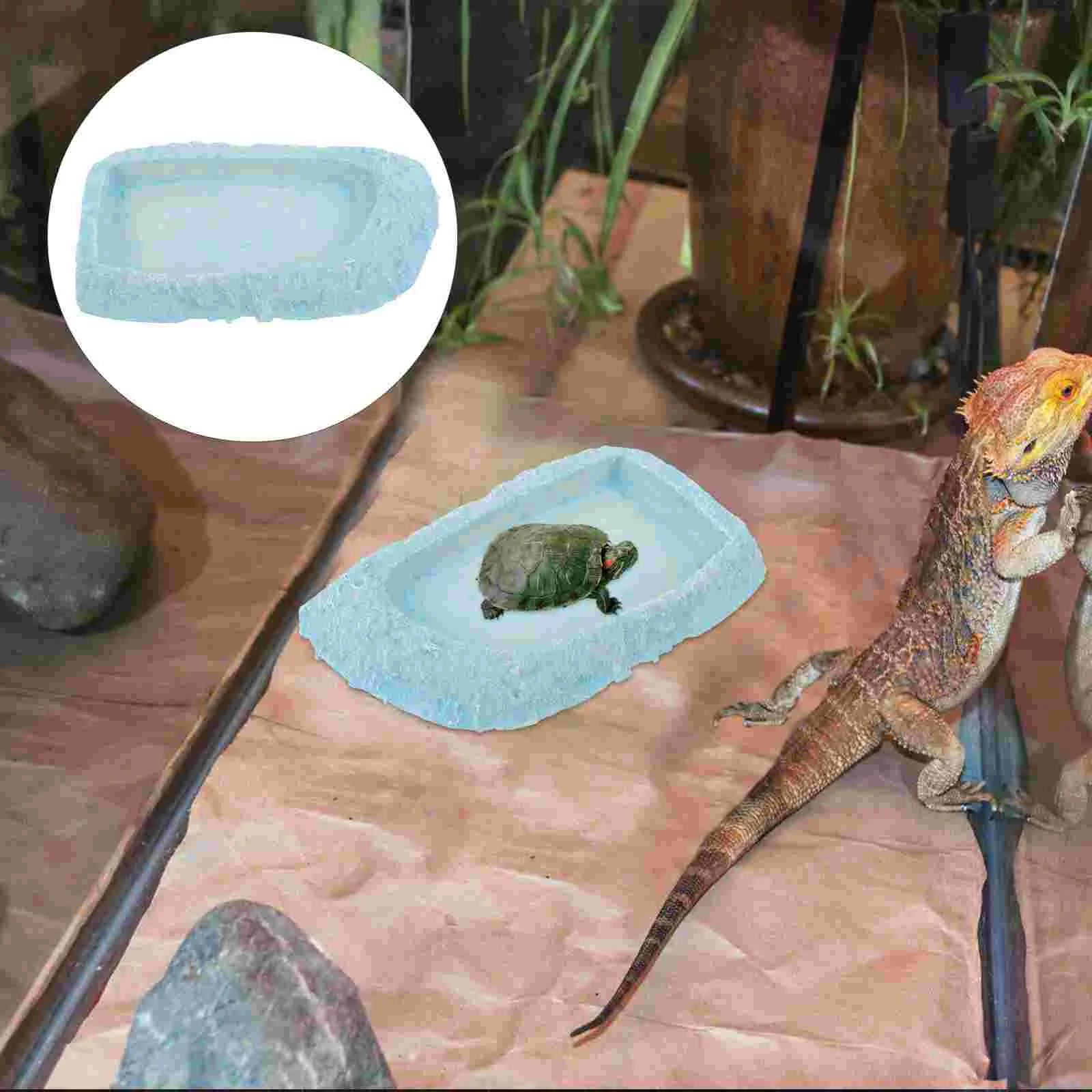 Crawling Pet Food Basin Practical Reptile Bowl Worm Dish Feeder Leopard Gecko Water Tortoise Resin Decorative Turtle