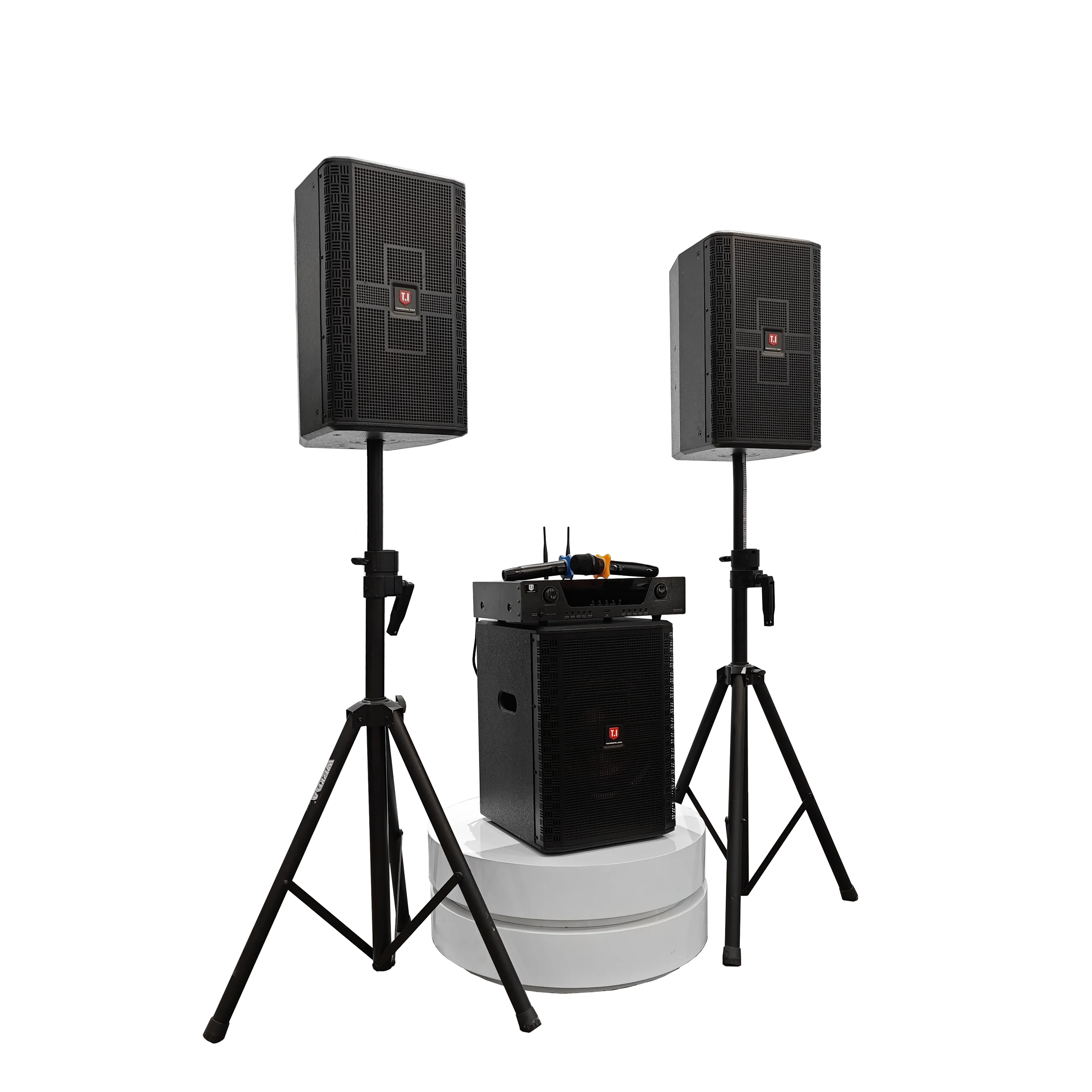 T.I Pro Audio 10 Inch 2.1 PA Speaker System Set For KTV, Party, Club