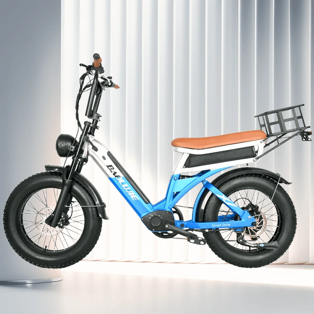 

1200W Adult Fat Tire Mountain Electric Motorcycles Bicycle Portable Pedal Electric Motorcycles Bike, Equipped 48V 30AH Battery