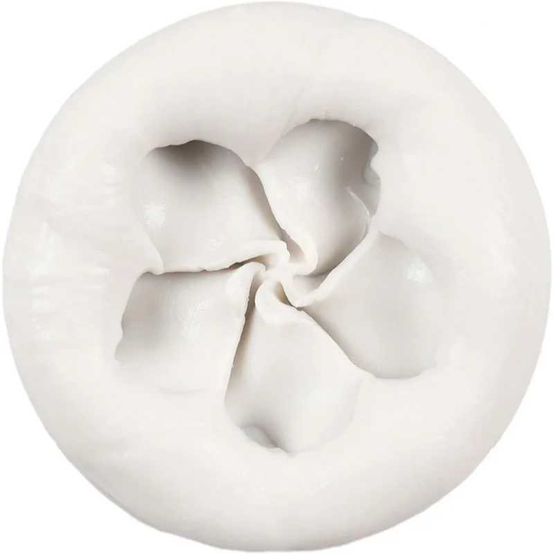 فرانجيباني بلوميريا زهرة سيليكون فندان قوالب كب كيك توبر كعكة الشوكولاته الديكور الحلوى السكر بوليمر كلاي غو