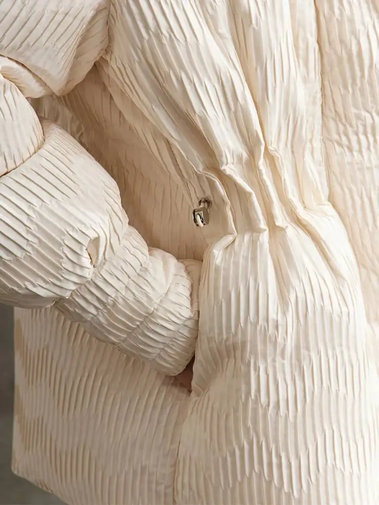 AMII الحد الأدنى بطة أسفل معطف منتفخ المرأة شتاء 2025 خفيفة الوزن الوقوف طوق التلبيب ملابس خارجية دافئة سترات جديدة 12344052 #5