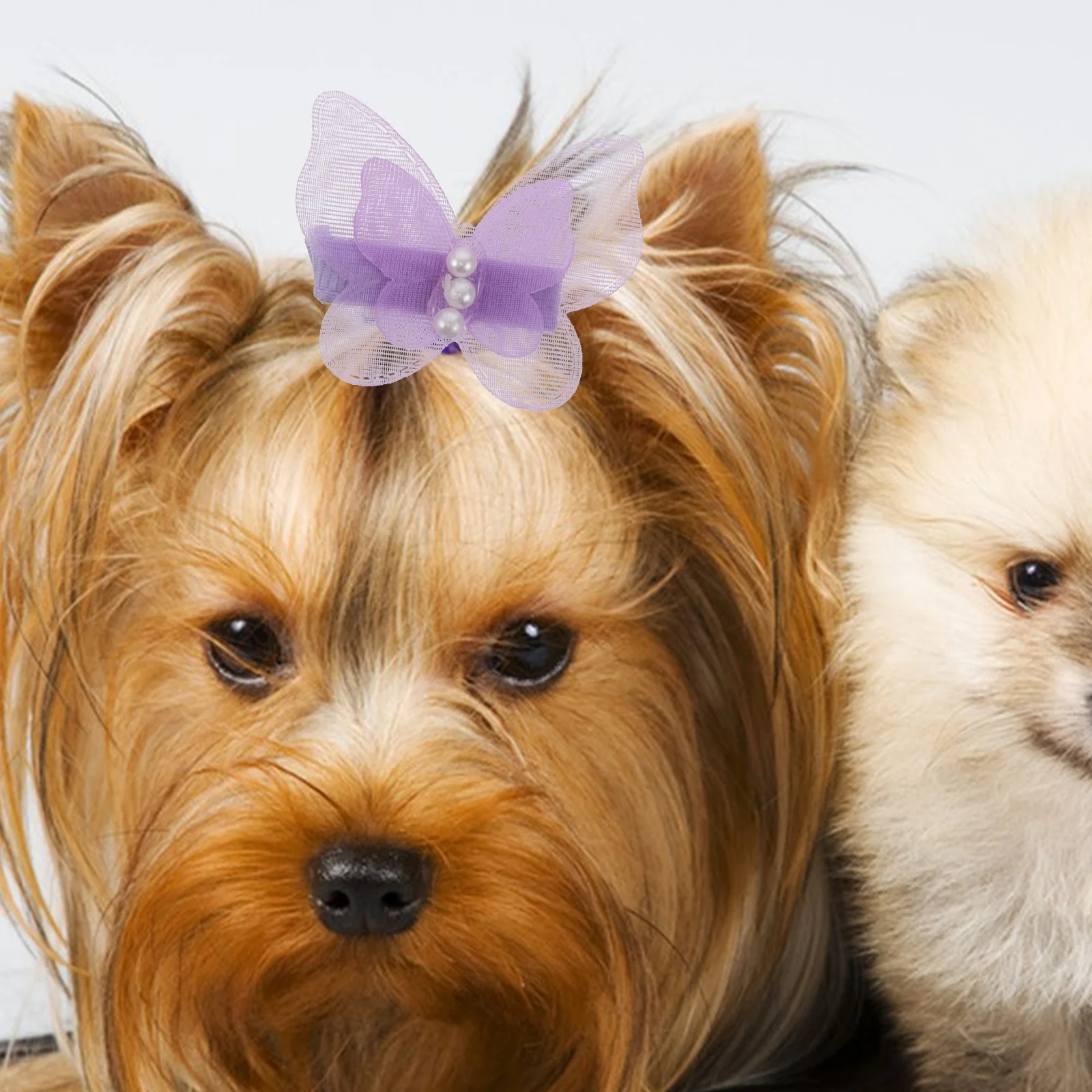 

24Pcs Pet Hair Accessories - Simulation Pearl Dog Hair Clips for Female Pets Comfortable Lightweight Headwear