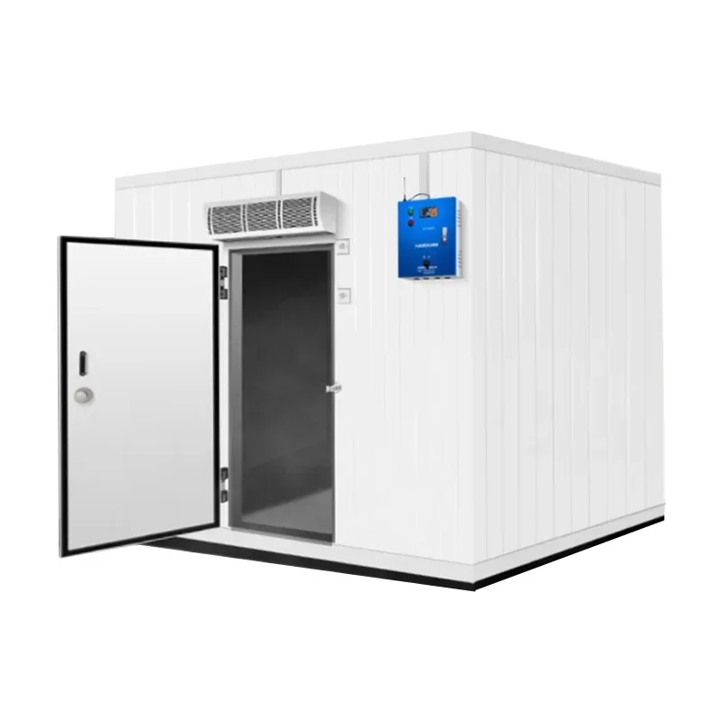 Commercial Fresh-Keeping Large Container Freezer Cold Room Storage Complete Equipment Small Mobile 10/20 Square Meters Copeland