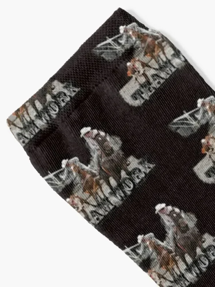 TEAM ROPER, COW HORSES Socks FASHION new in's ankle cotton Designer Man Socks Women's