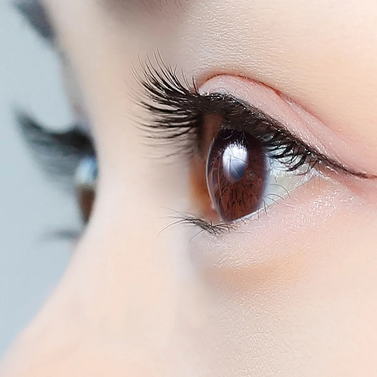 Juego de pestañas postizas de ojo de gato, grupos finos, extensiones de tira 3D, pestañas completas largas y gruesas naturales para maquillaje de mujer