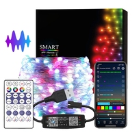 Christmas Lights WS2812B Dream Color LED String Strip WS2812 Addressable Individually RGBIC LED Module USB Music Controller DC5V