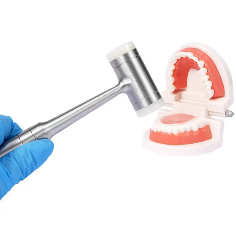 

Стоматологический костный молоток Двусторонняя нейлоновая ручкаРучка из нержавеющей сталиАвтоклав Инструменты для стоматологической хирургической экстракции Стоматологические инструменты