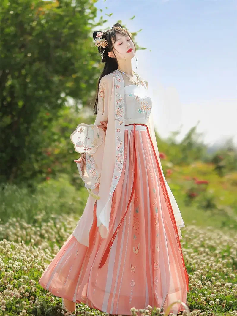 Ancient Traditional Chinese Women Elegant Hanfu Dress Fairy Embroidery Stage Folk Dance Costume Retro Song Dynasty 3 Piece Sets