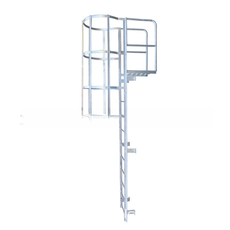 Ladder FRP ladder cage