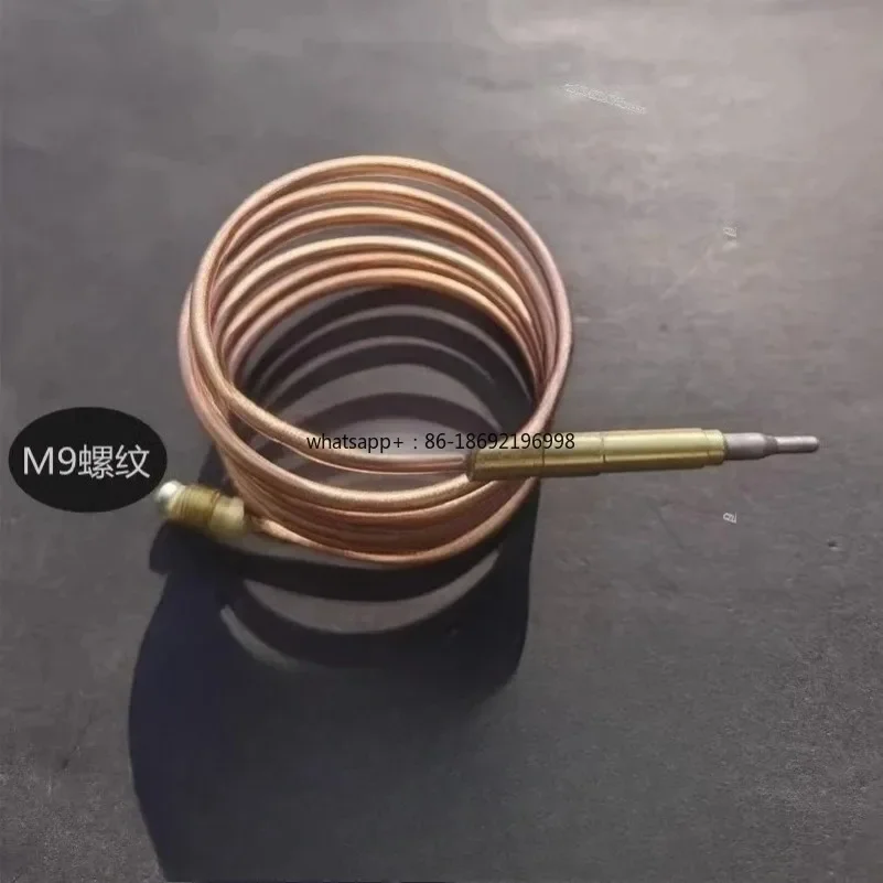 Fried Furnace Pot Furnace Gas Valve Induction Line Thermocouple 1200mm Flameout Protection Device M9 Temperature Sensing Head