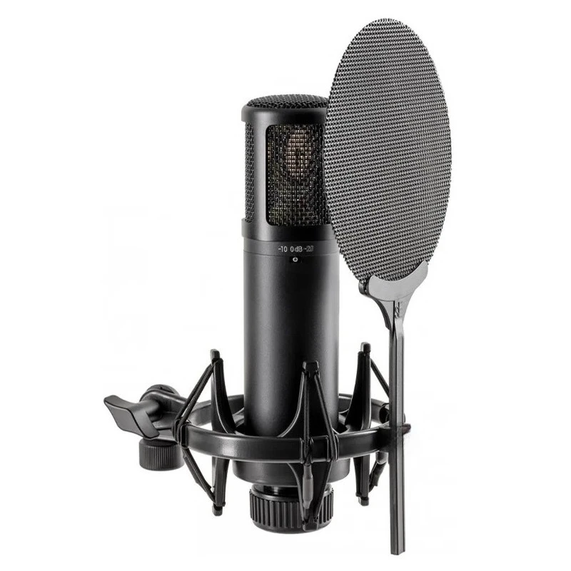 Professional live broadcast Karaoke recording studio dubbing arrangement audiobook computer microphone equipment