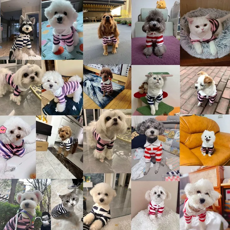 Fashion Pet Dog Striped Shirt Cute Puppy Clothes Summer Cat Vest Soft Dog Polo Shirt Pet Kitten Clothing Chihuahua Dog Clothes