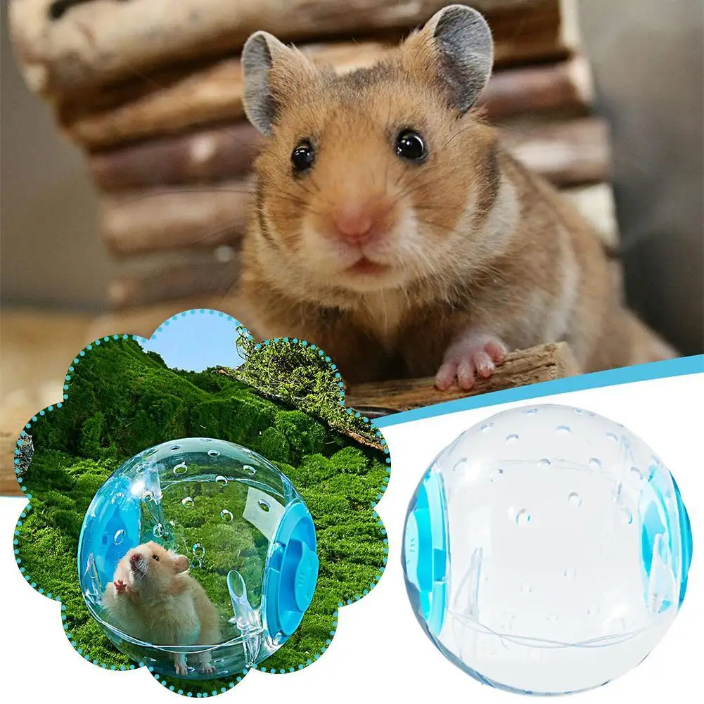 

Hamster Exercise Ball Transparent Hamster Running Ball Wheel With Traction Rope For Small Animals Pet Supplies 14cm