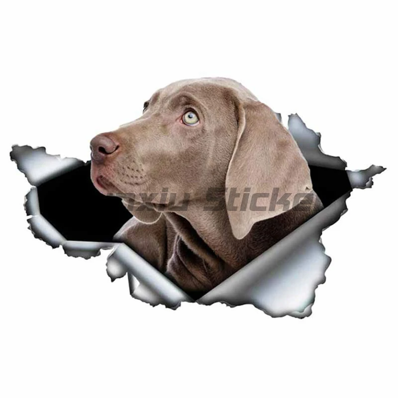 3D Dog Personality PVC Decal Weimaraner Vinyl Waterproof Car Sticker on Motorcycle Laptop Decorative Accessories