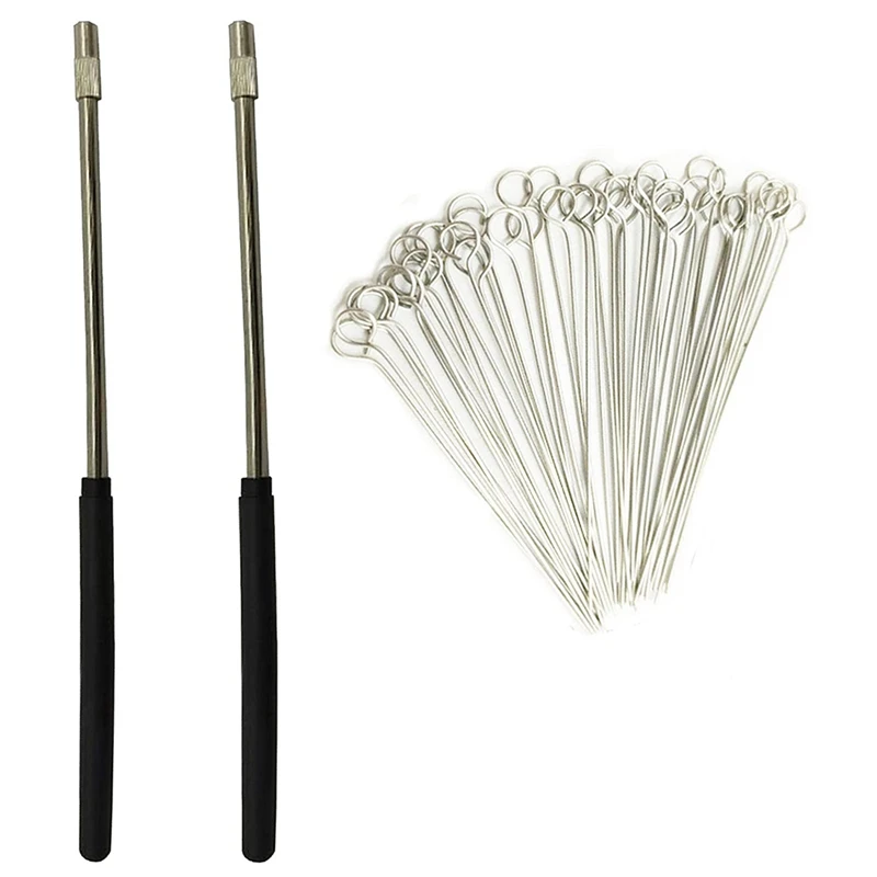 Hot 2PCS Reusable Inoculating Loop ผู้ถือ50Pcs 10UL Nichrome เข็มเคล็ดลับ Inoculation Loop สำหรับ Lab